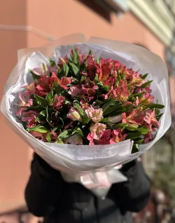 21 шт. Розовая Альстромерия