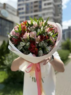 25 шт.  Альстромерия микс