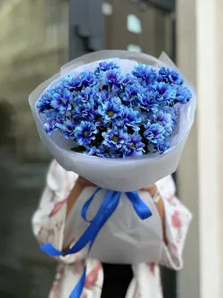 51 синяя ромашка