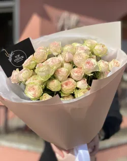 11 веток пионовидных кустовых роз Свит Жизель (Sweet Giselle)