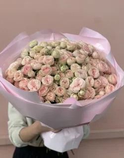35 веток пионовидных кустовых роз Свит Жизель (Sweet Giselle)