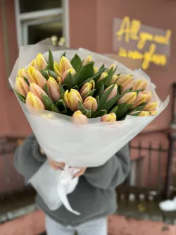 35 персиковых тюльпанов