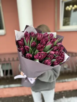 35 фиолетовых тюльпанов
