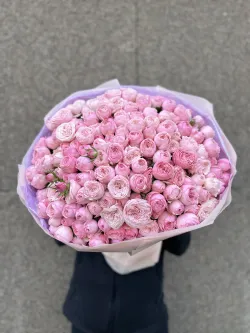 51 ветка пионовидных кустовых роз Мэнсфилд Парк Пинк (Mansfield Park Pink)