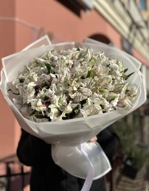 21 шт.Белая Альстромерия