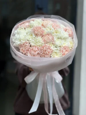 25 гвоздик Микс