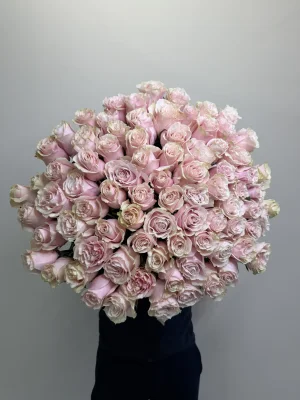 Нежно-розовая роза Pink Mondial 101 шт.