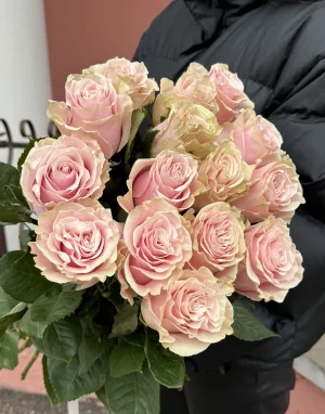 Нежно-розовая роза Pink Mondial 15 шт.