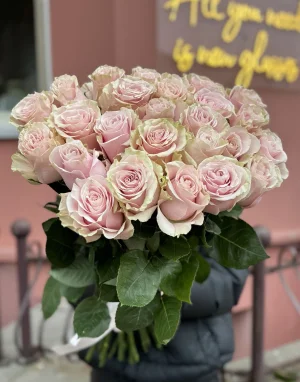 Нежно-розовая роза Pink Mondial 25 шт.