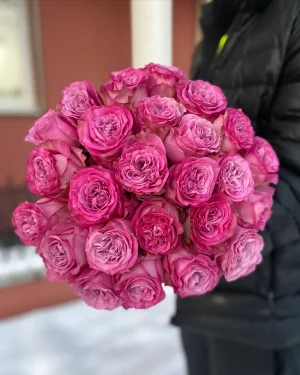 Розовая роза Queens crown 25 шт.