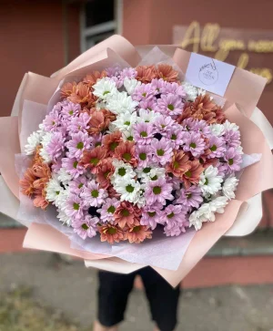 251 микс ромашка