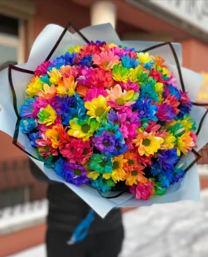 251 радужная ромашка