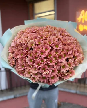351 медовая ромашка