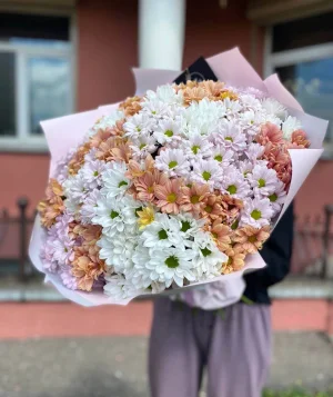 351 микс ромашка