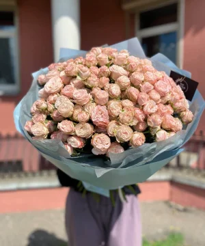 35 веток пионовидных кустовых роз Бомбастик (Bombastic)