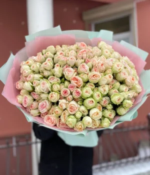 35 веток пионовидных кустовых роз Кристи (Kristine)