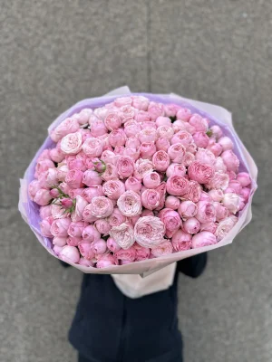 51 ветка пионовидных кустовых роз Мэнсфилд Парк Пинк (Mansfield Park Pink)
