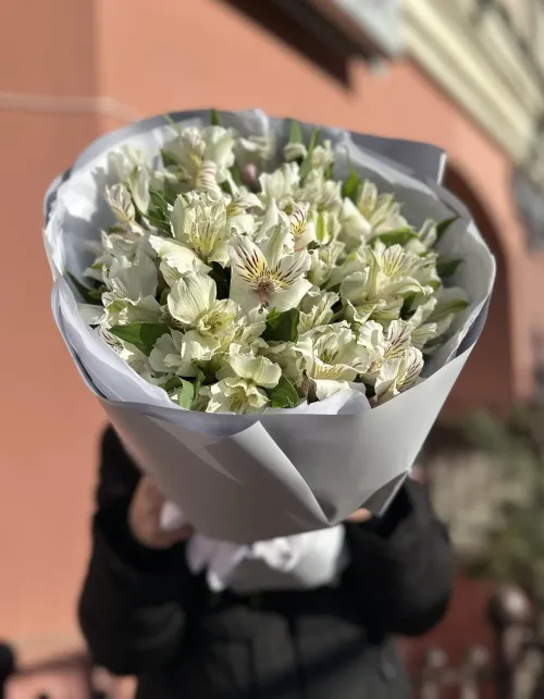 11 шт.Белая Альстромерия