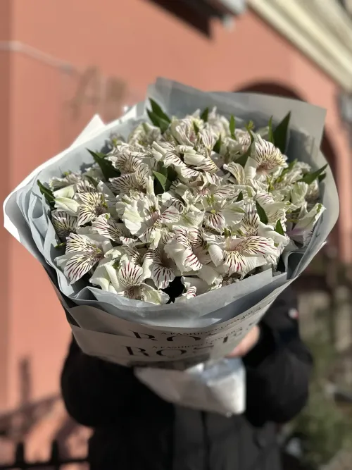 15 шт.Белая Альстромерия