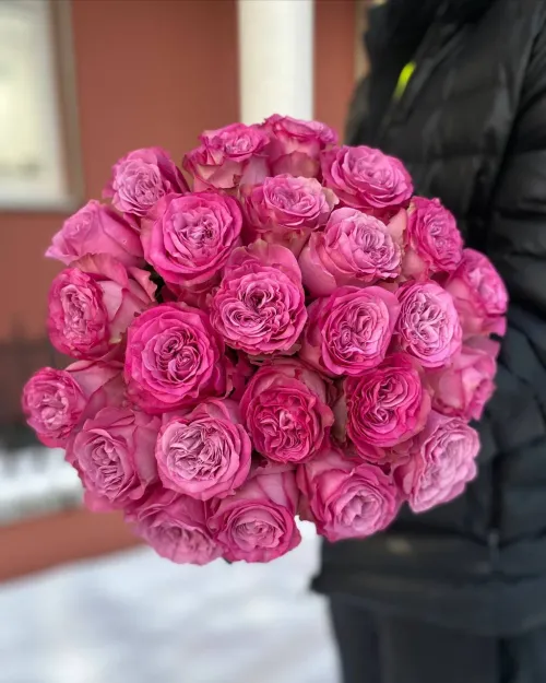 Розовая роза Queens crown 25 шт.