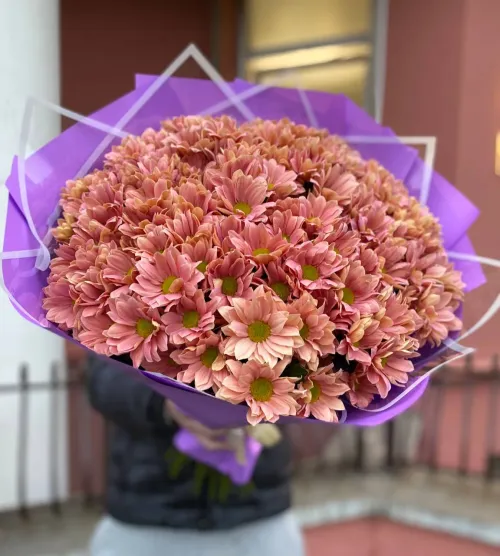 251 медовая ромашка