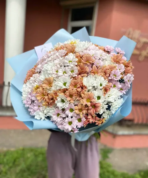 301 микс ромашка